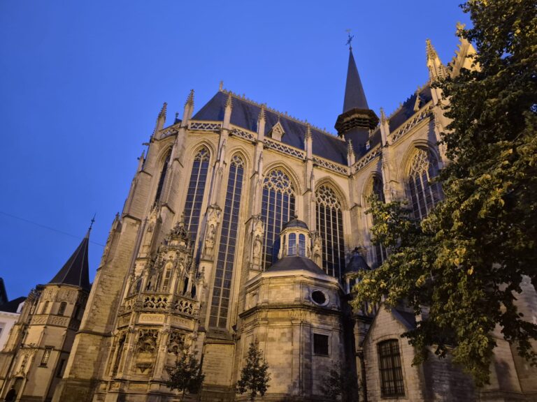 WhatsApp Image 2025-10-08 at 12.39.57 (1)