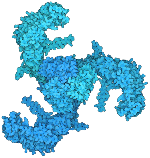 piezo_molecule-rbg